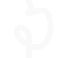 Vertical Cipher Script Visualizer