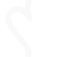 Vertical Cipher Script Visualizer