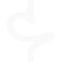 Vertical Cipher Script Visualizer